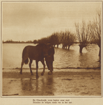872350 Gezicht op overstroomde landerijen ter hoogte van de wijk Elinkwijk te Zuilen, met op de voorgrond een man met paard.